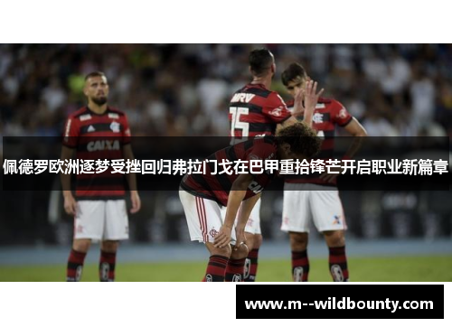佩德罗欧洲逐梦受挫回归弗拉门戈在巴甲重拾锋芒开启职业新篇章 佩德罗欧洲逐梦受挫回归弗拉门戈在巴甲重拾锋芒开启职业新篇章